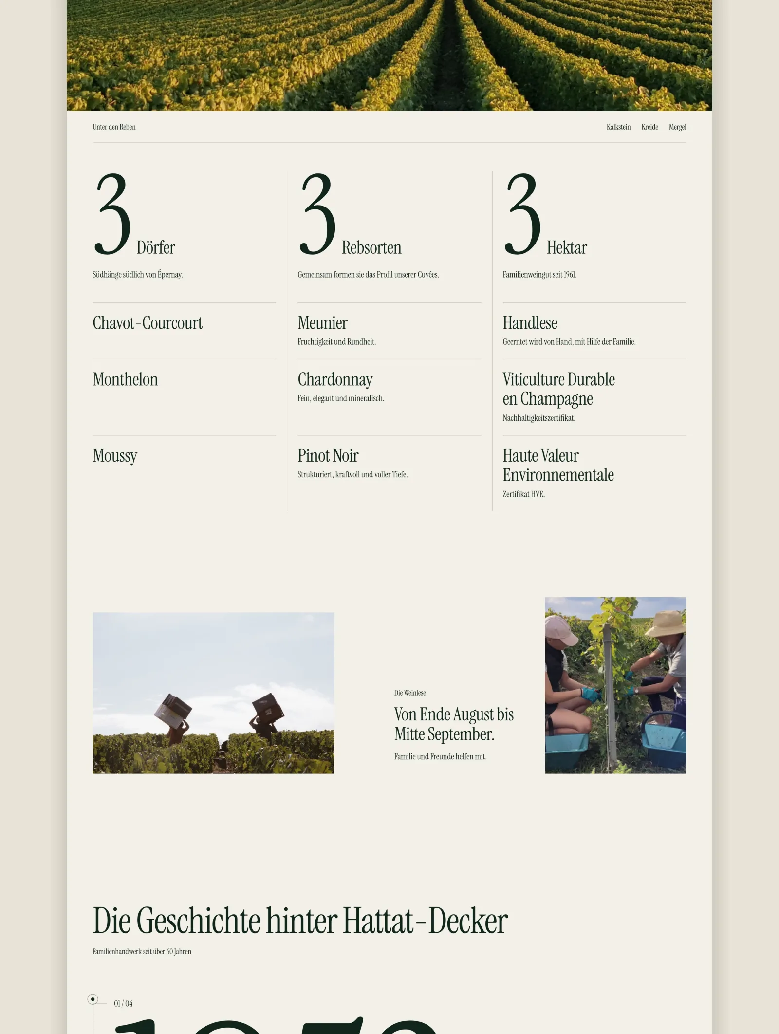 Hattat-Decker — fullsite desktop 3
